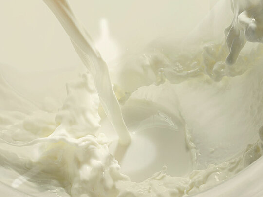 Yoghurt production in the food industry 