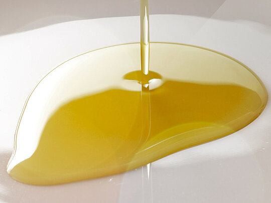 Edible oil production in the Food Industry 