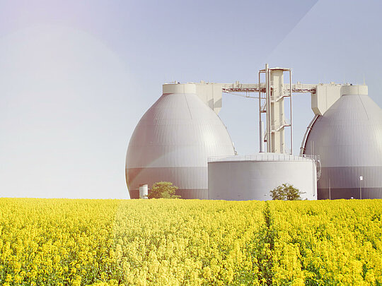 Biofuel production 